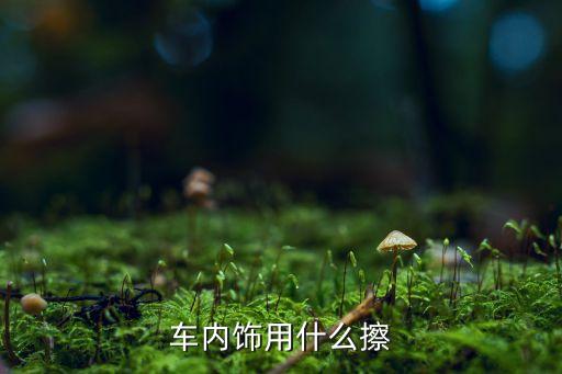 用什么搽汽车内饰，车内饰用什么擦