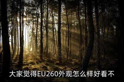大家觉得EU260外观怎么样好看不