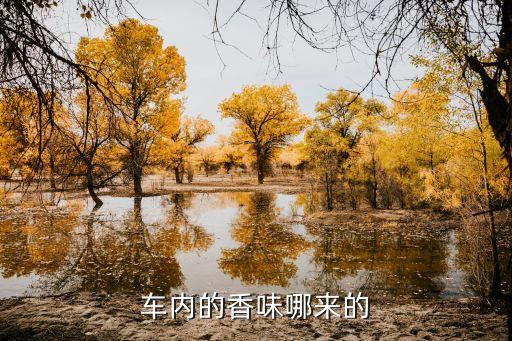 车内的香味哪来的