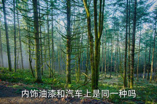 内饰油漆和汽车上是同一种吗