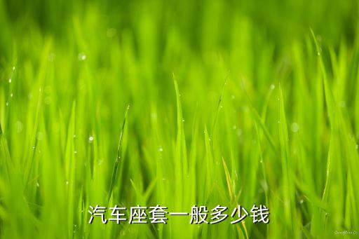 汽车座套一般多少钱
