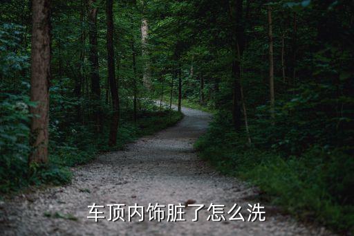 汽车洗内饰顶怎么洗好呢，车内顶棚清洗妙招