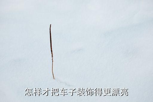 怎样才把车子装饰得更漂亮