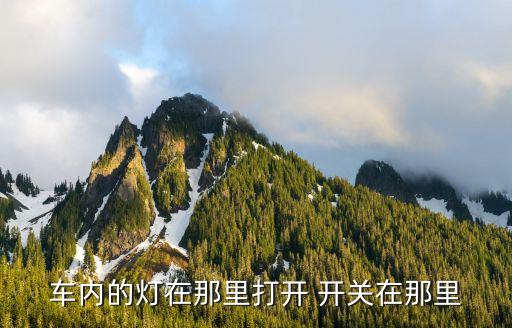汽车内内饰灯怎么开关视频，哈弗h1的车内顶饰上的灯怎么开
