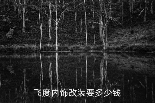 飞度内饰改装要多少钱