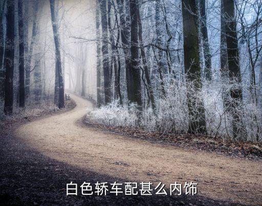 银白色汽车如何配内饰，银色的车配什么内饰好看呢