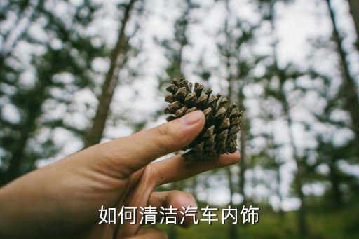 如何清洁汽车内饰