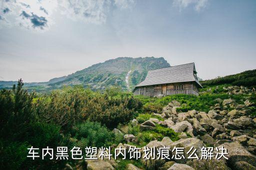 汽车内饰黑塑料用什么洗，车内黑色塑料内饰或皮内饰如何清理