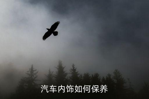 汽车内饰如何保养