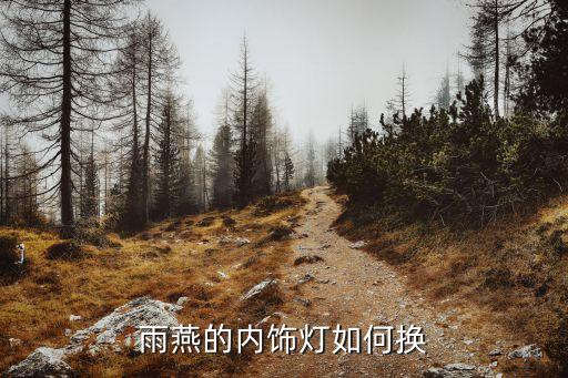 汽车遮阳板内饰灯怎么换，雨燕的内饰灯如何换