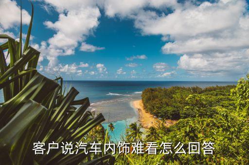 客户说汽车内饰难看怎么回答
