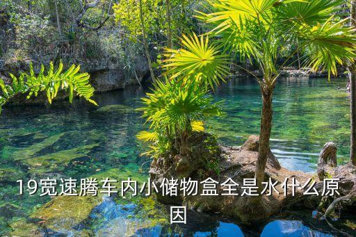 19宽速腾车内小储物盒全是水什么原因