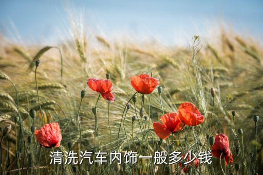清洗汽车内饰一般多少钱