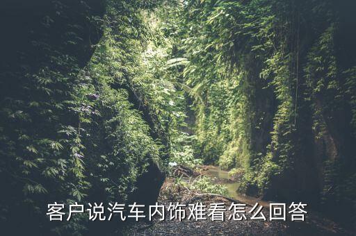 客户说汽车内饰难看怎么回答