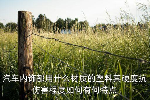 汽车内饰什么塑料最好，汽车内饰塑料漆哪款好