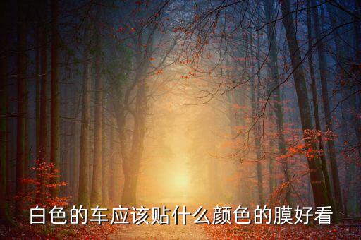 汽车白色内饰膜怎么贴好看，白色的车子贴什么颜色的膜好看