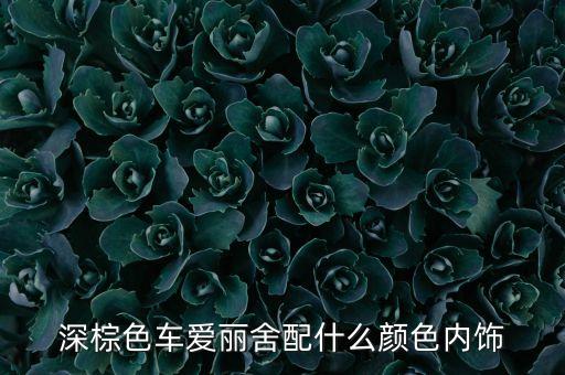 深棕色车爱丽舍配什么颜色内饰