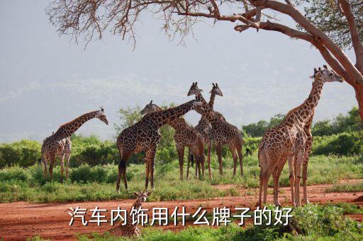 汽车内饰用什么牌子的好