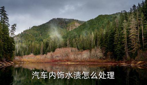 汽车内饰水渍怎么处理