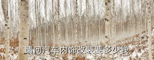 请问汽车内饰改装要多少钱