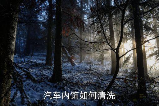 汽车内饰如何清洗