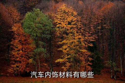 汽车内饰材料有哪些