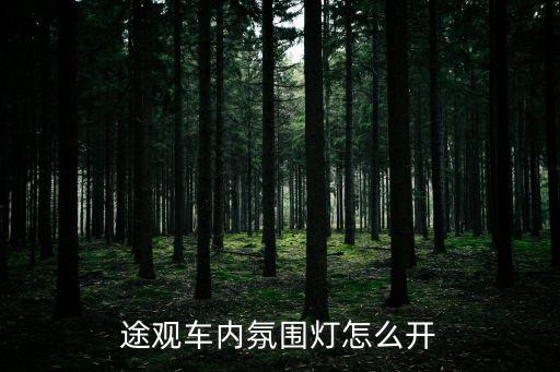 途观车内氛围灯怎么开