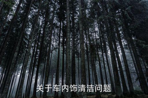 关于车内饰清洁问题