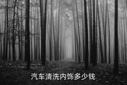 精典汽车洗内饰多少钱啊，清洗汽车内饰一般多少钱