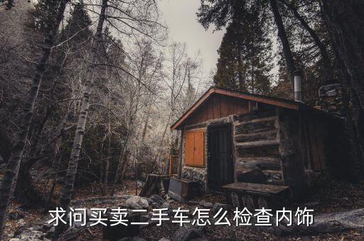 求问买卖二手车怎么检查内饰