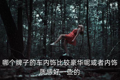 哪个牌子的车内饰比较豪华呢或者内饰质感好一些的