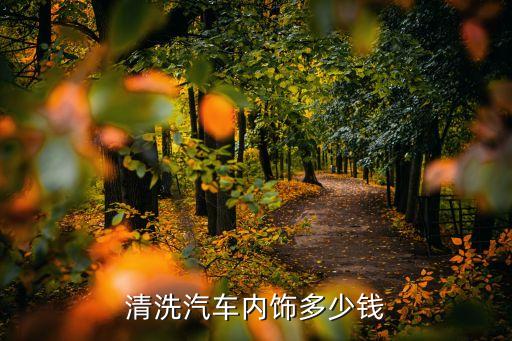 清洗汽车内饰多少钱