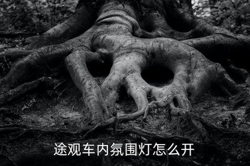 途观车内氛围灯怎么开