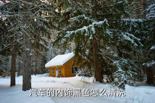 汽车的内饰黑色怎么清洗