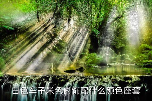 白色车子米色内饰配什么颜色座套