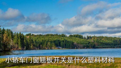 小轿车门窗翘板开关是什么塑料材料