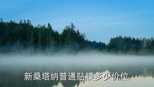 新桑塔纳普通贴膜多少价位