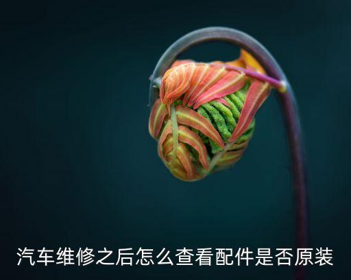 汽车维修之后怎么查看配件是否原装