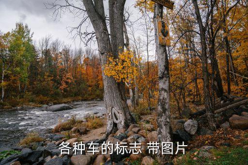 汽车内饰都有什么车标图片，所有汽车的车标
