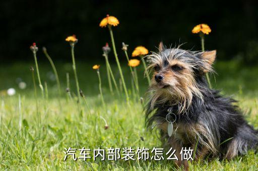 汽车内部装饰怎么做