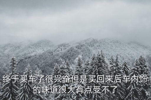终于买车了很兴奋但是买回来后车内饰的味道很大有点受不了