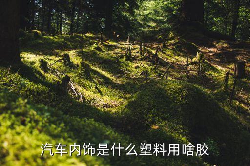 汽车内饰贴片选什么材质，汽车内饰贴纸买哪种好