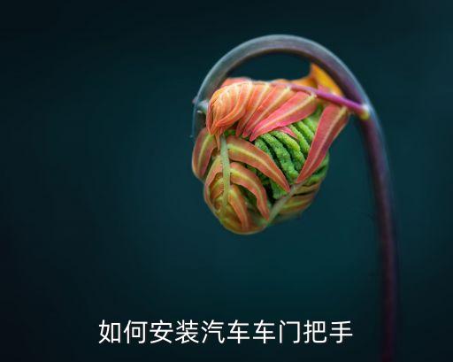 汽车自己怎么装内饰门把手，车门上的亮银把手和门腕自己怎么安装