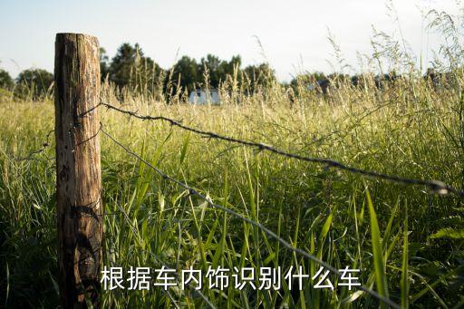 根据车内饰识别什么车