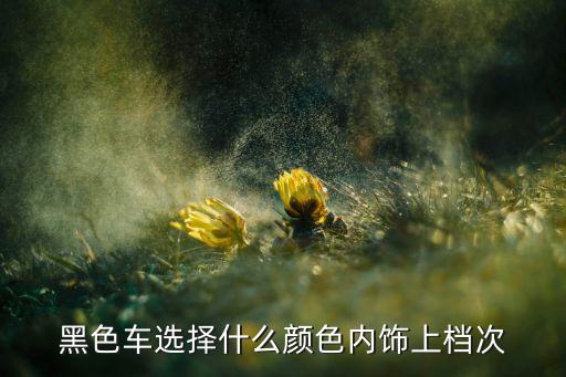 黑色车选择什么颜色内饰上档次