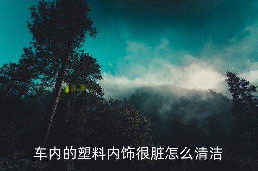 车内的塑料内饰很脏怎么清洁