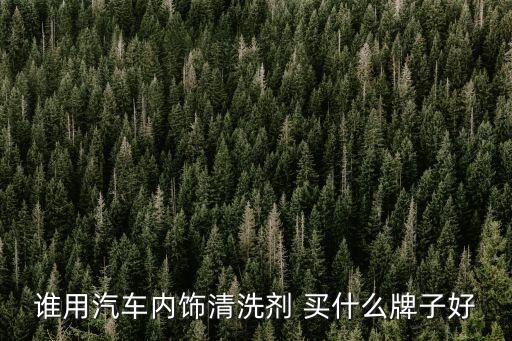 谁用汽车内饰清洗剂 买什么牌子好