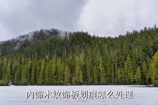 内饰木纹饰板划痕怎么处理