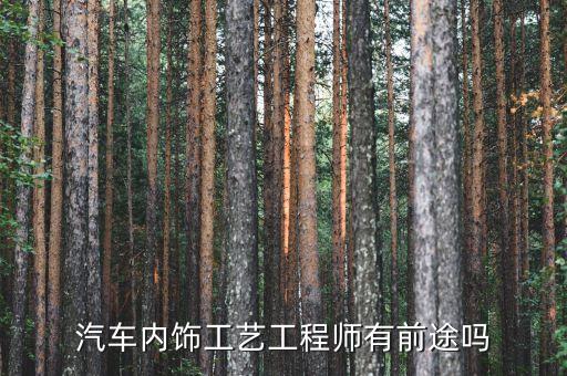 汽车内饰工艺工程师有前途吗