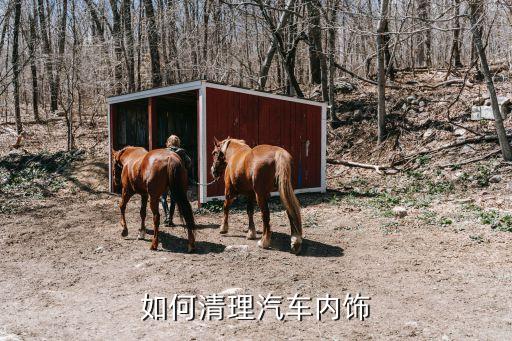 汽车怎么收拾内饰，汽车内饰怎样清理